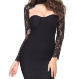 sensational Long Sleeves Turtleneck  Lace  Dress